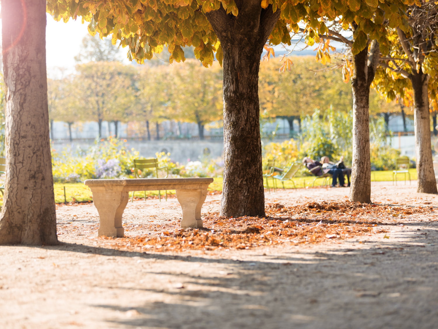 paris autumn