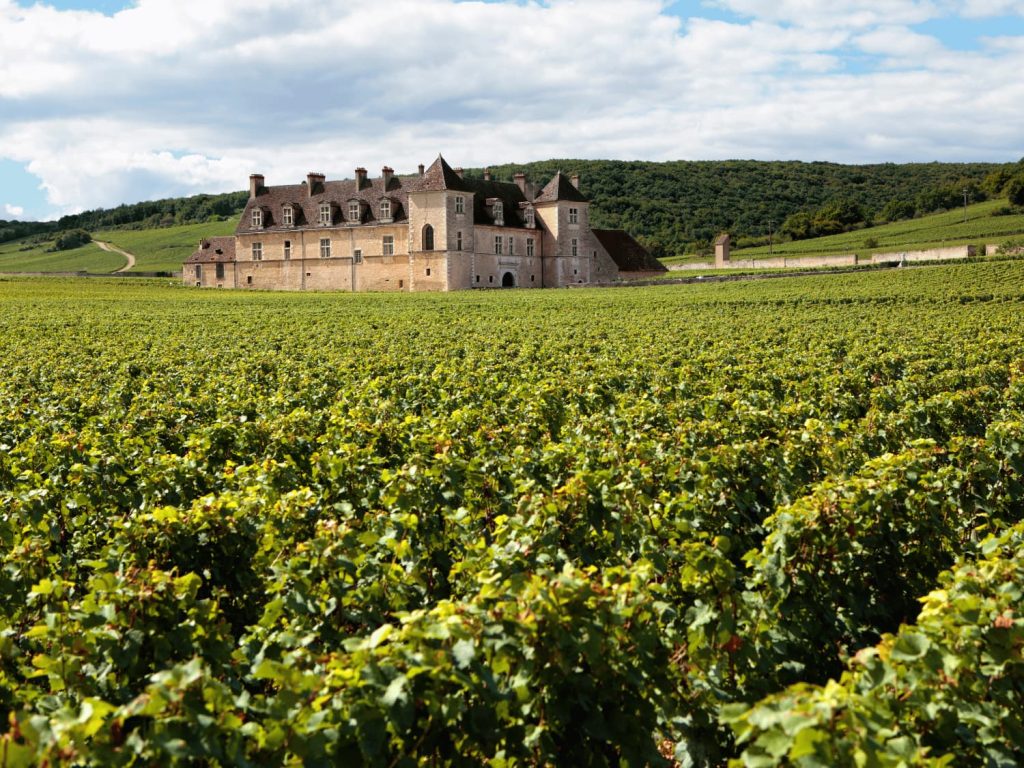 french wine for beginners french wine for beginners