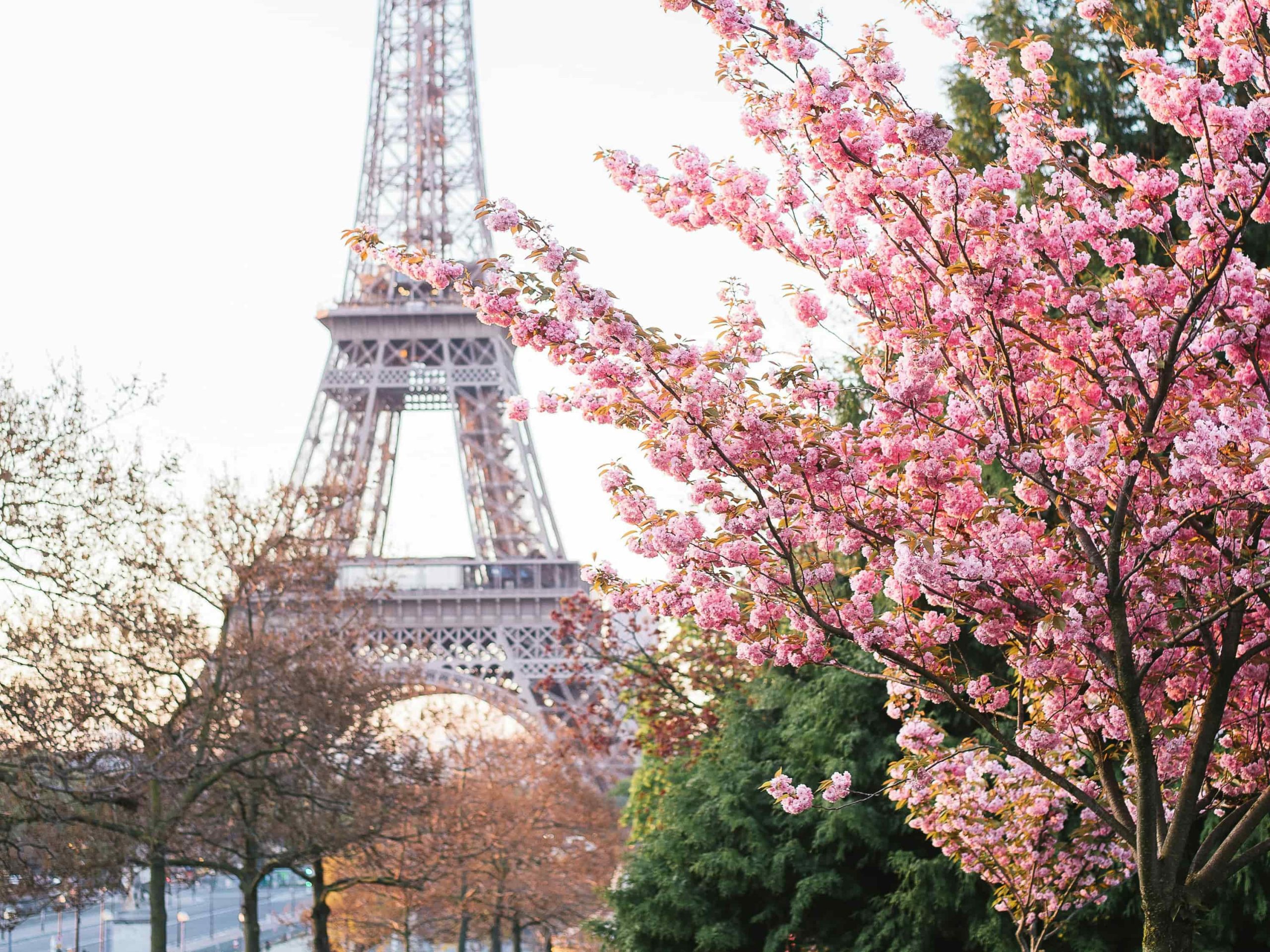 things to do in paris in may things to do in paris in may
