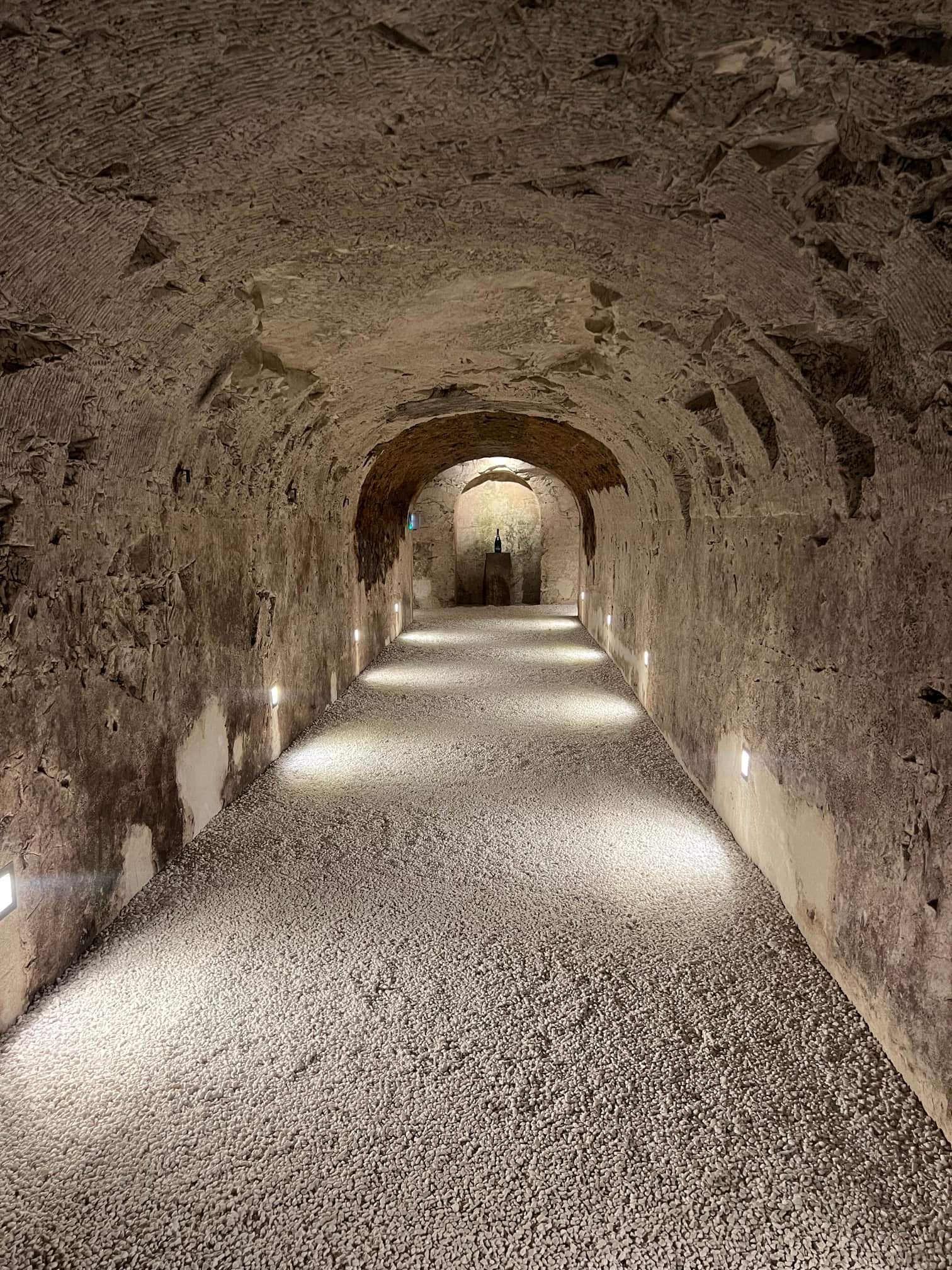 reims champagne tour reims champagne tour