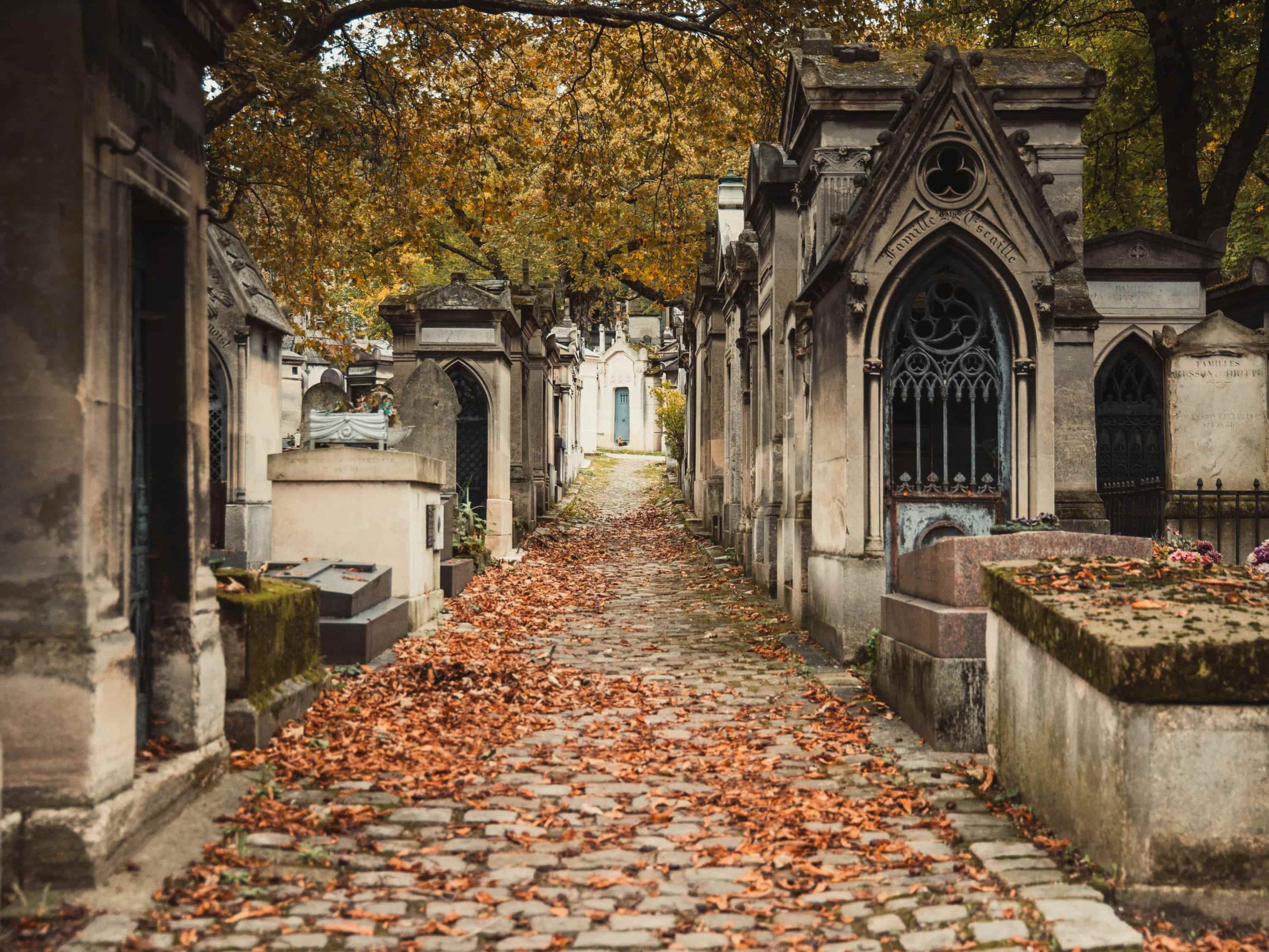 paris in early november