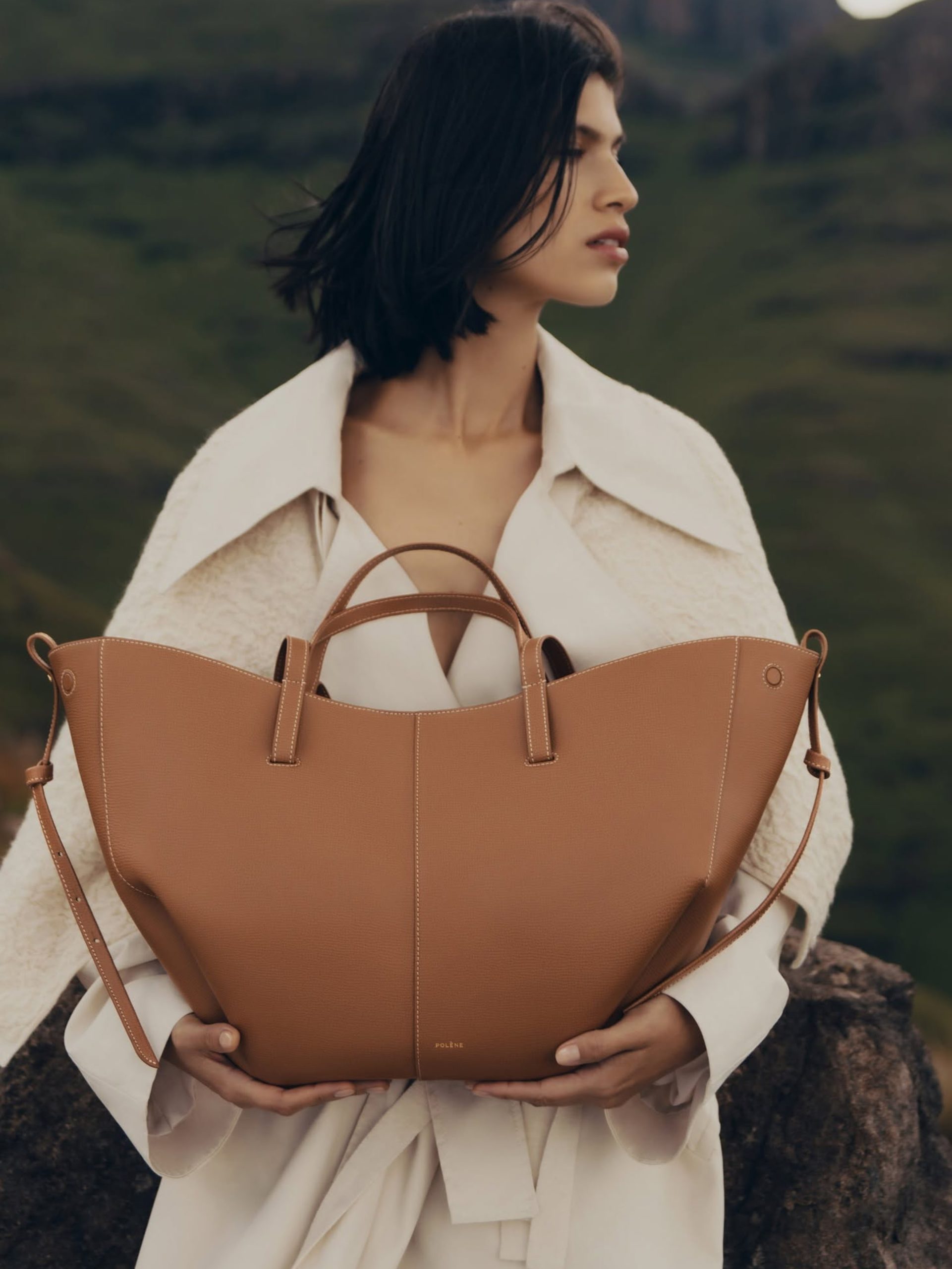 french handbag